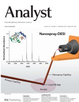 Cover of Analyst, September 2010