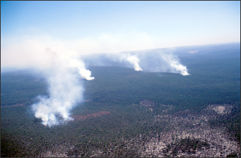 Australian bushfires