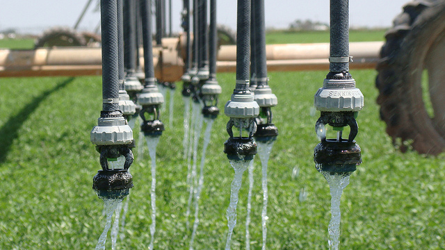 LESA/LEPA system on Gonzales’ alfalfa field