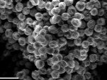 Egg-like nanoparticles for lithium-ion batteries. [Image: Zhi Wei She et al., Stanford University]