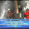 Sardine Survey Icon