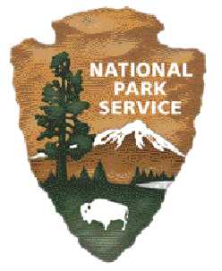 NPS