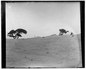 The Wright brother's camp.  Looks forlorn.  And cold, if you can imagine an icy winter wind.  (Library of Congress)