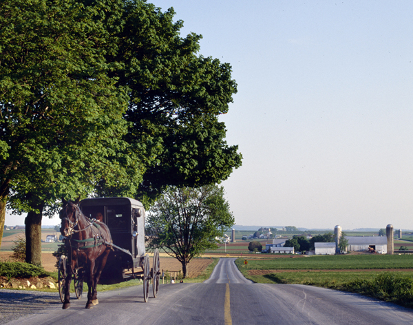 This view of "Amish Country" is also a quiet side of America that we both love.  Whenever possible, we take small roads to get where we're going, if only because we can easily pull off the road when we see something remarkable.  (Carol M. Highsmith)