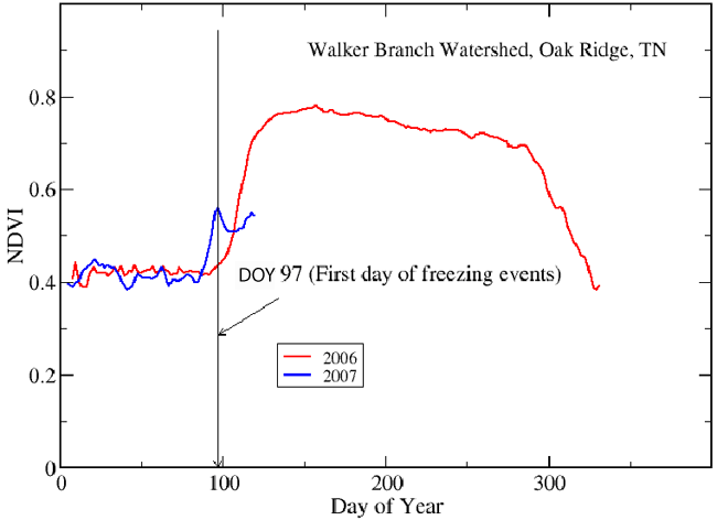 Walker Branch Watershed, Oak Ridge, TN - NDVI 2006 vs. 2007