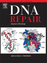 dna repair