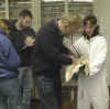 Dr. Olsen Examines Whoopers