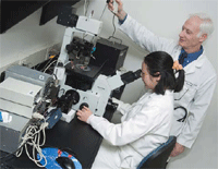 Dr. Mitchell Finkel of VA and West Virginia University and colleague Dr. Fangping Chen examine heart muscle cells from a rat.