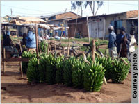 A farmers' market in Kenya.