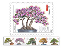 Bonsai (Forever)