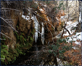 Refuge riparian area during January 2013 snow. Photo taken by K. Cobble, Refuge Manager