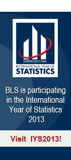 International Year of Statistics 2013 banner image