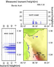 Graphs of tsunami heights measured by the survey team in Banda Aceh (north coast) and along the west coast from Lampuuk to Leupeung. 