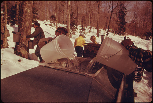 Documerica photo by Jane Cooper. Vermont Dairy Farm and his Neighbor Gather Sap 4/1974