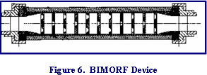 BIMORF System