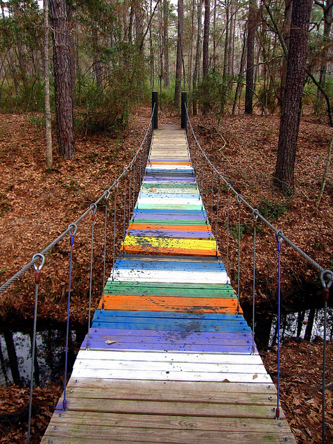 Sweetleaf Nature Trail, Jones State Forest in Camp Strake, Texas by cool.as.a.cucumber on Flickr.