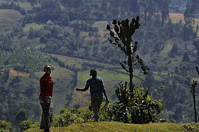 Road from Negele Borena, Ethiopia December 7, 2011.