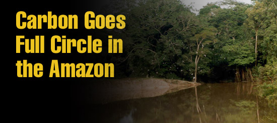 Article title: Carbon Goes Full Circle in the Amazon. Photo of Amazon River.