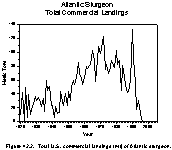 Figure 42.2.  Total U.S. commercial landings (mt) of Atlantic sturgeon.