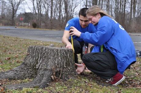 Measurements are taken by John Tamaritz and Aidan Ferris of FEMA Corps to determine if the size requirement is met for reimbursement by FEMA for stump removal on public lands. FEMA will pay reasonable costs for removal of debris on public property within approved guidelines. Photo by Sharon Karr/FEMA