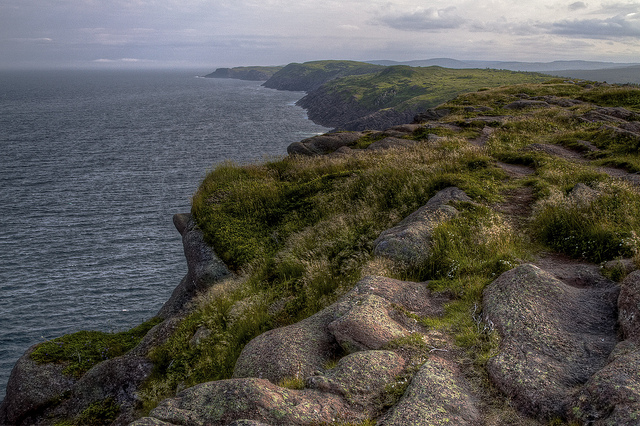  View South from Cape Spear Lighthouse July 19, 2012 by Dan Conlin, 'dans eye' on Flickr. 