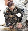 Sgt. Maj. Teresa Duncan, 97th MP Bn. affectionately pets MWD Hary in a photo taken during his final days. Duncan said MWDs don’t get enough credit for their life of service.