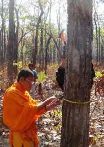 Men protecting the rain forest in Cambodia