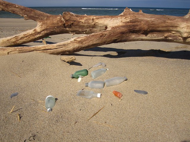 March 12, 2011 Cape Cod National Seashore by Jeanethe Falvey