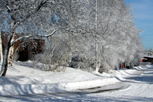Un camino cubierto con nieve