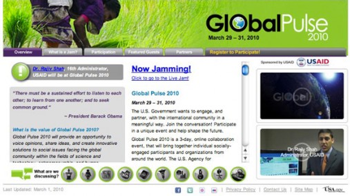 Screenshot of Global Pulse 2010 website, March 28, 2010. [USAID Image]