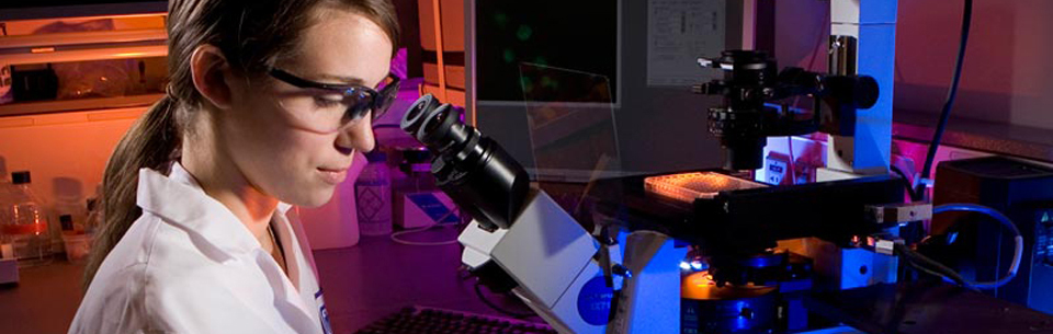 Scientist working with lab equipment