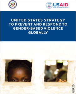 Cover of government document (USAID)