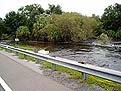 Big Slough Canal near Myakka City, June 23.