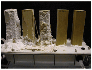 Figure 2. This photo shows 5 samples of Cordova Cream limestone treated with amounts of PAA increasing from zero at the left to a layer about 10 nm thick at the right. The stones are standing in a bath of sodium sulfate, and were exposed to 39% RH for about 5 weeks.