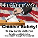 Cast Your Vote Choose Safety