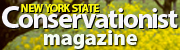 Conservationist Magazine