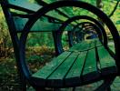 View through a bench in Central Park.