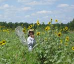 SCEP biologist (R-5) Wingyi Kung waits patiently for the elusive,and fast flying "sunflower bee." Credit: USFWS