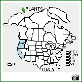 Distribution of Lupinus albicaulis Douglas. . Image Available. 