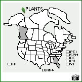 Distribution of Lupinus angustifolius L.. . Image Available. 