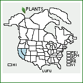 Distribution of Lupinus fulcratus Greene. . 