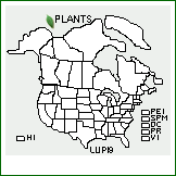 Distribution of Lupinus pilosus L.. . 