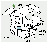 Distribution of Lupinus roseolus Rydb.. . 