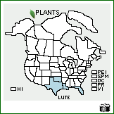 Distribution of Lupinus texensis Hook.. . Image Available. 