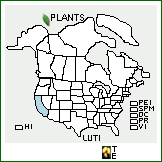 Distribution of Lupinus tidestromii Greene. . Image Available. 