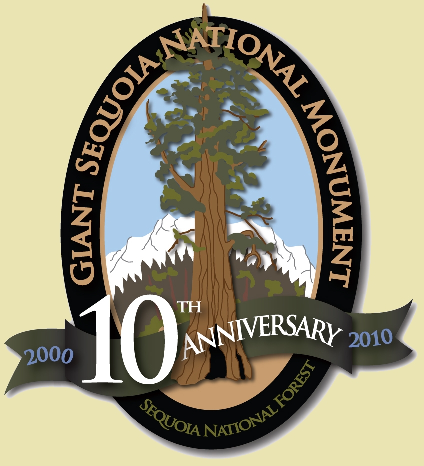 10th Anniversary GSNM logo