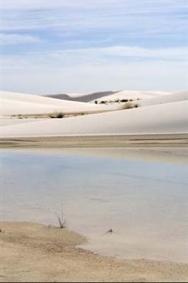 White Sands #1 