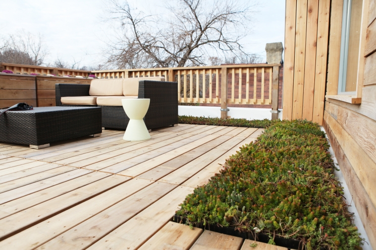 The house is equipped with a rain garden that collects and filters storm-water from the roof for use in the gardens. For more photos of the Empowerhouse ribbon cutting, <a href="/node/580963">view our photo gallery</a>. | Photo courtesy of Sarah Gerrity, Energy Department.