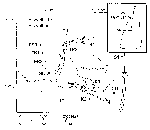 shapiro2.final.fig1b