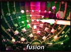 Fusion image